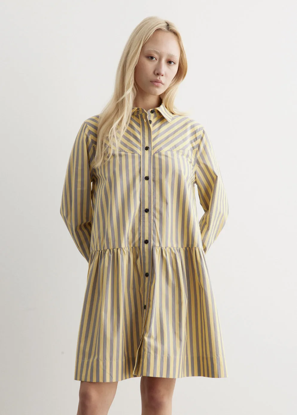 Stripe Mini Shirt Dress